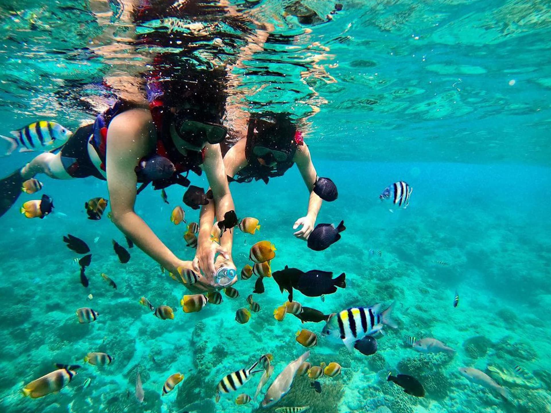 Blue lagoon Bali_0002_345050377_9279996402041432_1110707012256321456_n