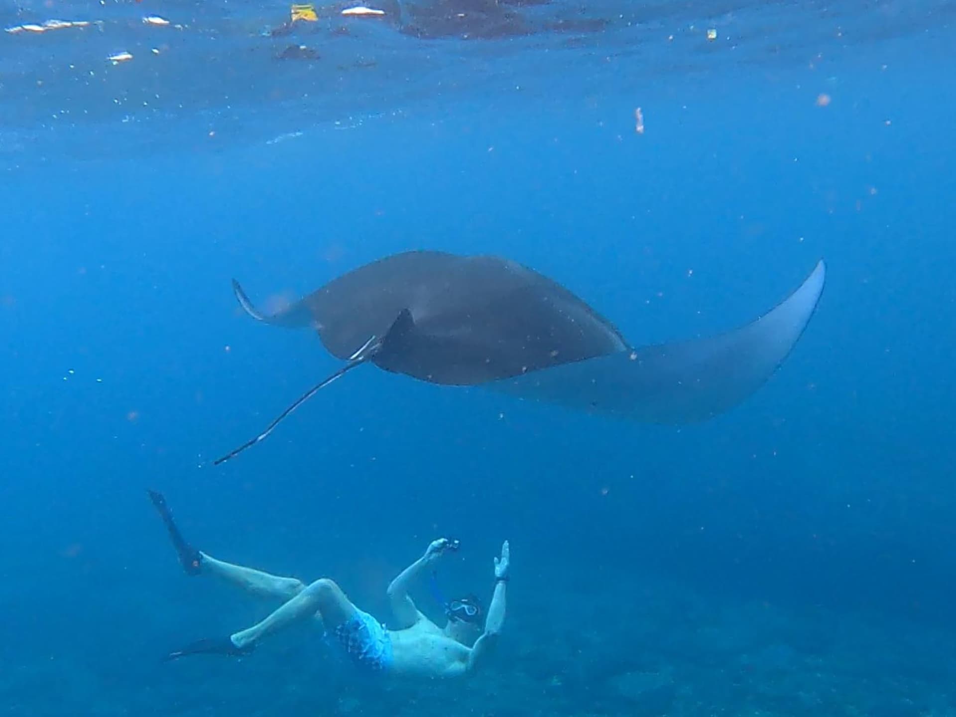 snorkeling nusa penida 13_0011_2022-07-15
