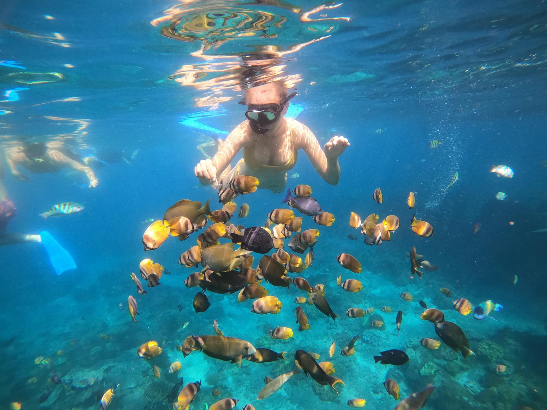 snorkeling nusa penida 13_0027_2023-05-11_0004_2023-01-05