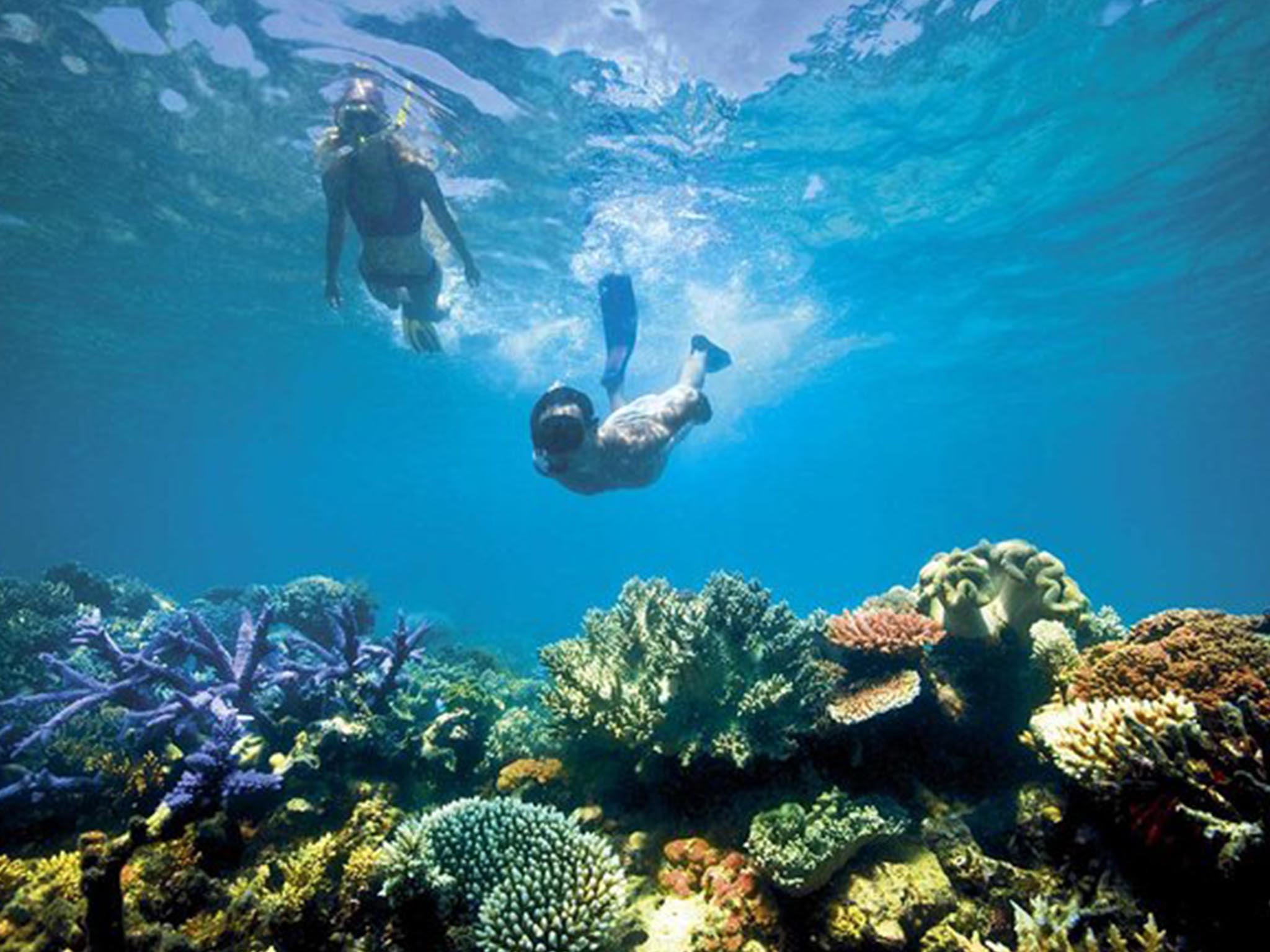 Blue Lagoon Beach Snorkeling with Lunch