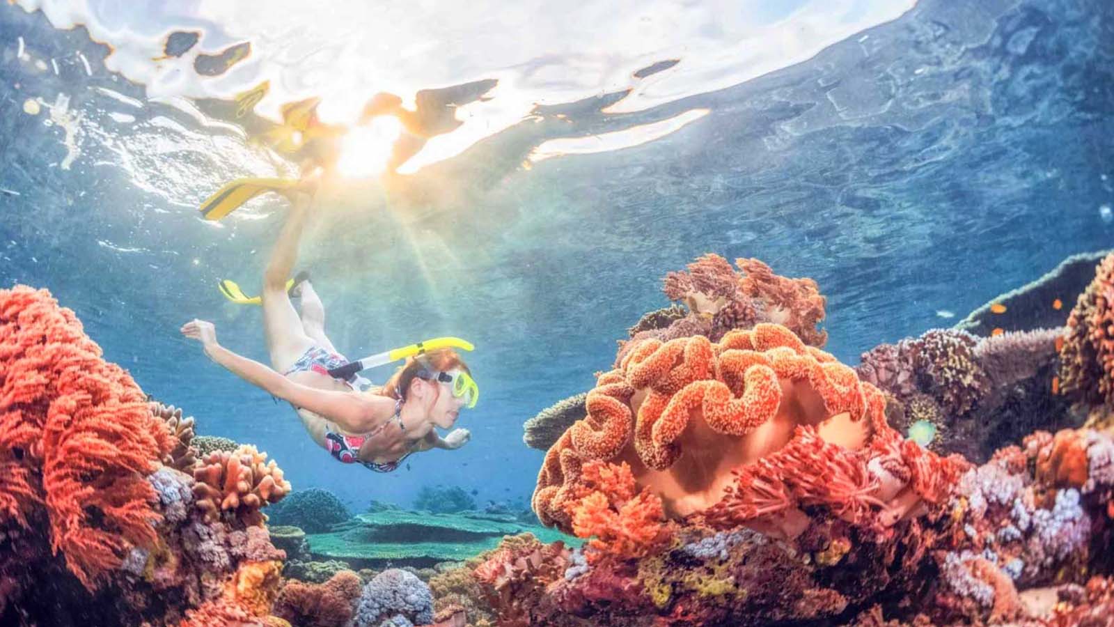 Private Tour: Heaven Gate Temple, Tirta Gangga and Blue Lagoon Snorkeling