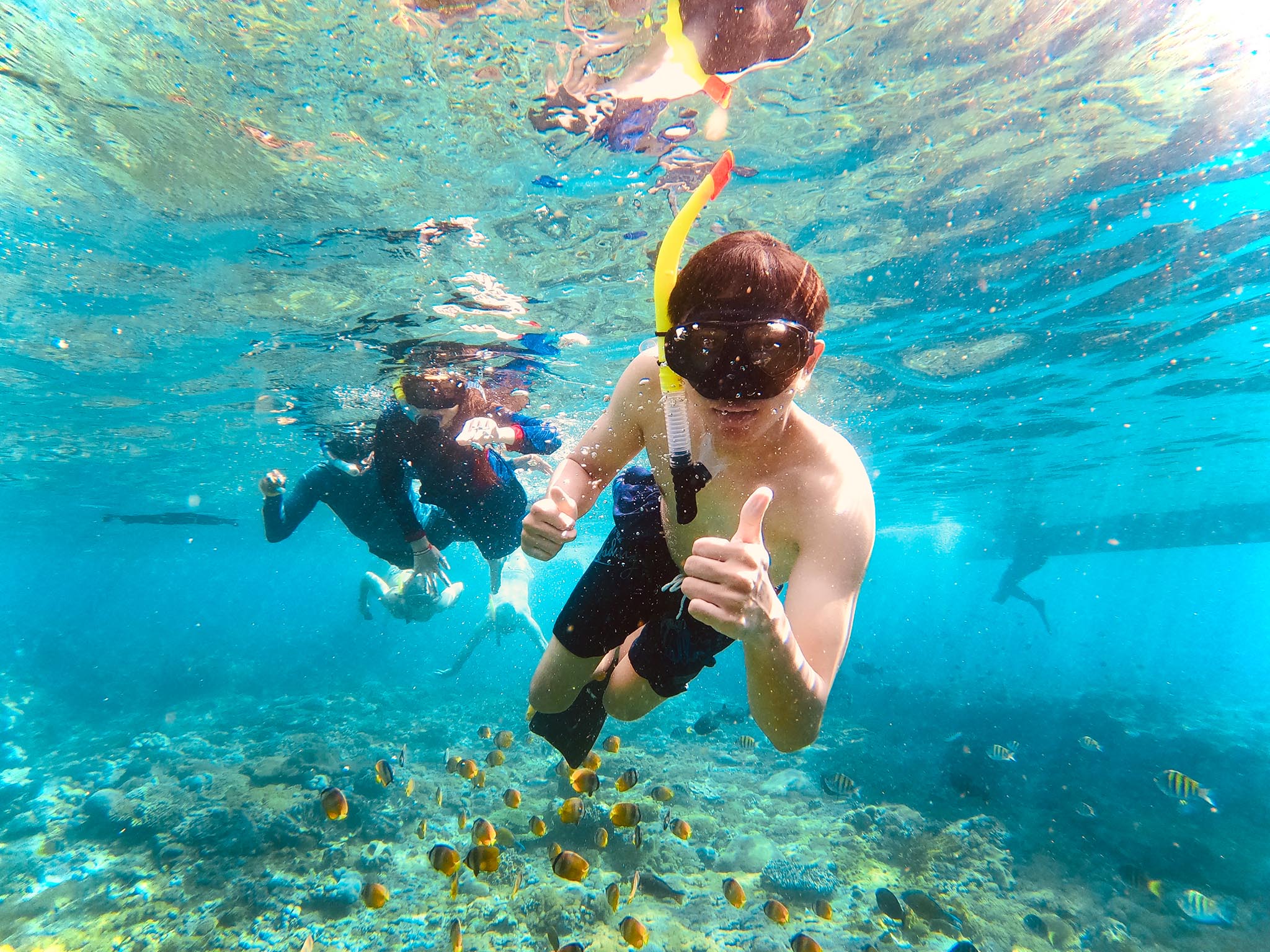 Private snorkeling To 4 spot with Colored Fish Nusa penida