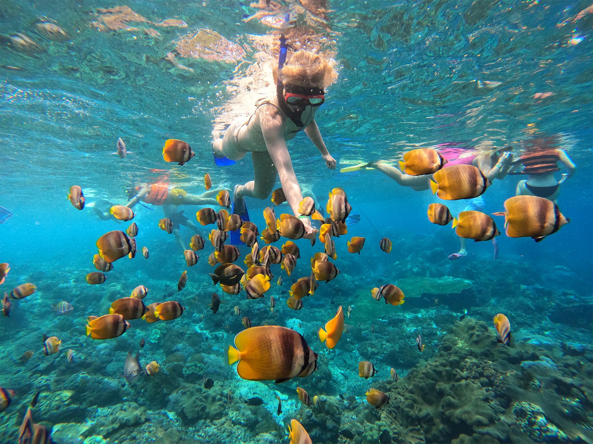 Shared snorkeling To 4 spot with Colored Fish Nusa penida