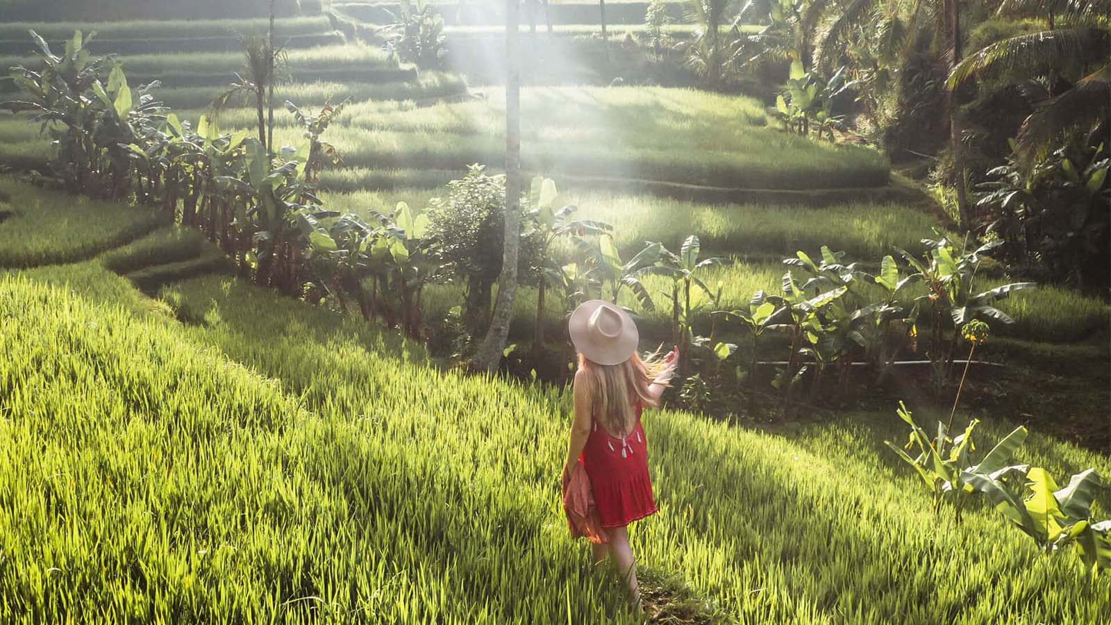 Best of Bali Tours: 3 Days Package